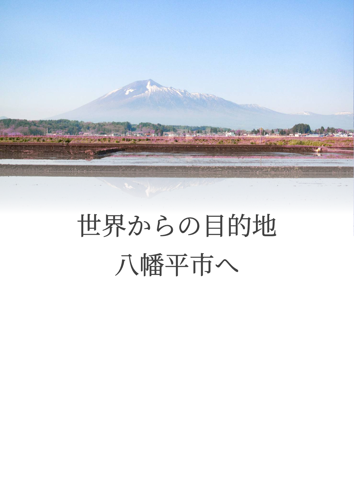 top_mobile2