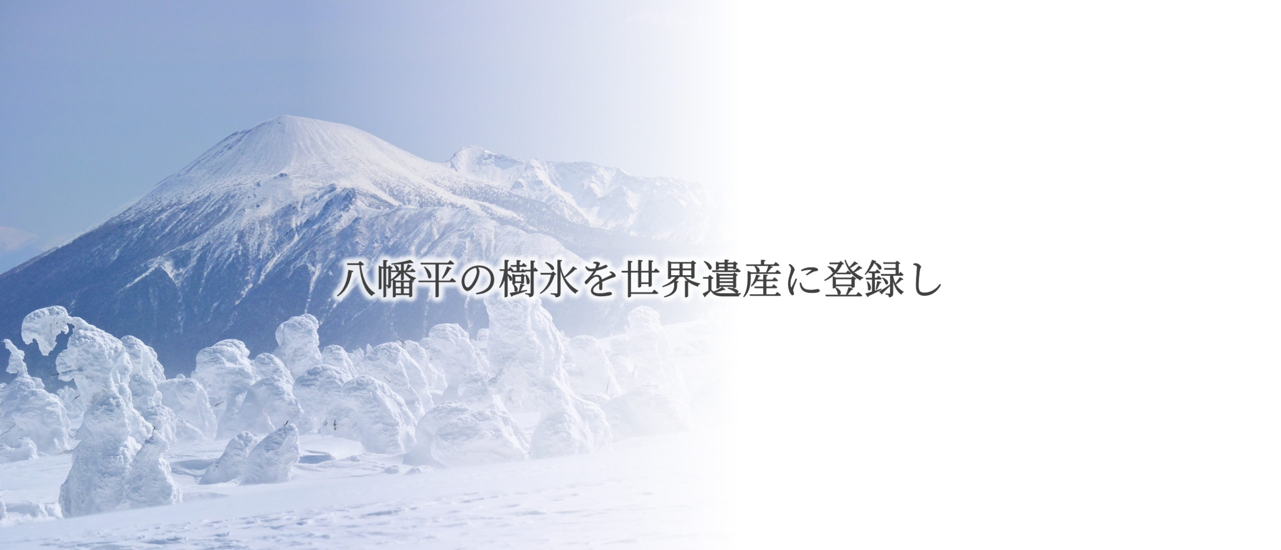 top_slide11