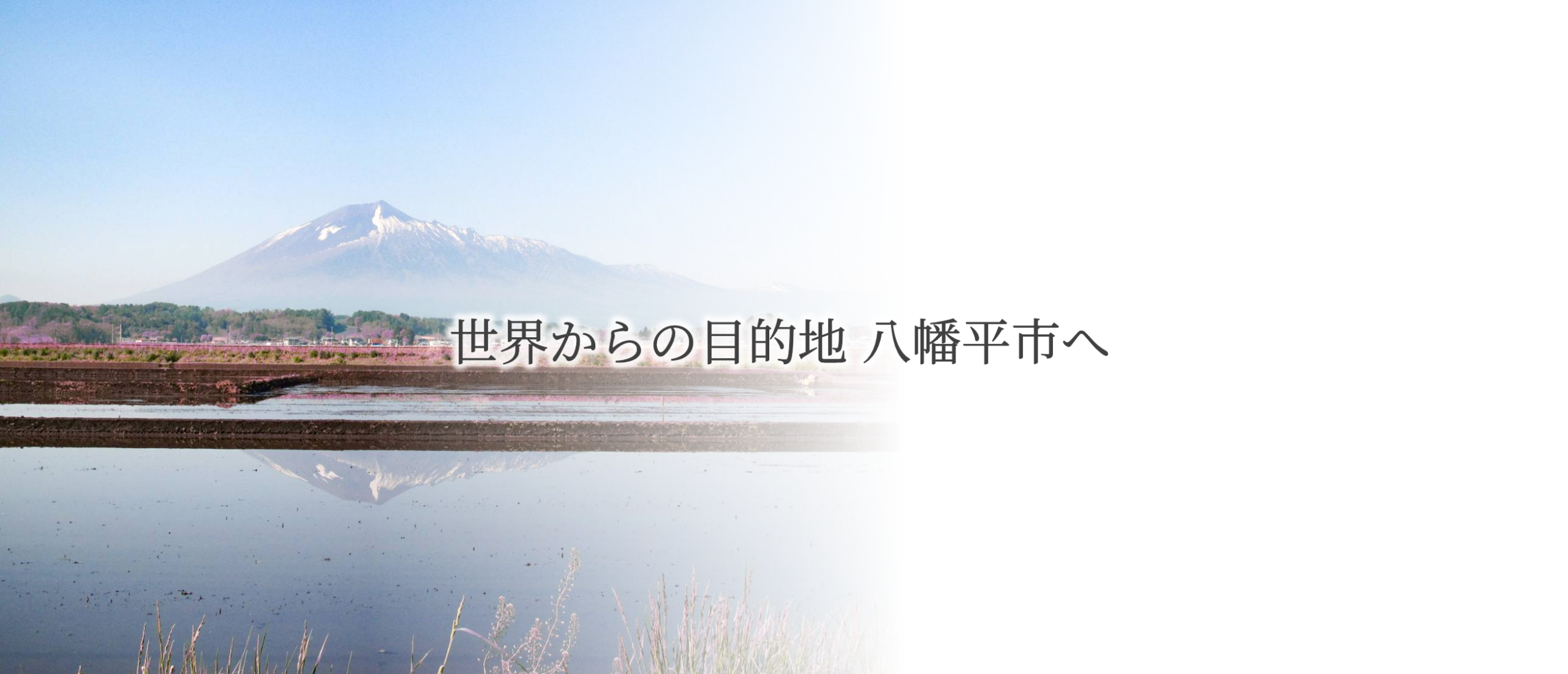top_slide12